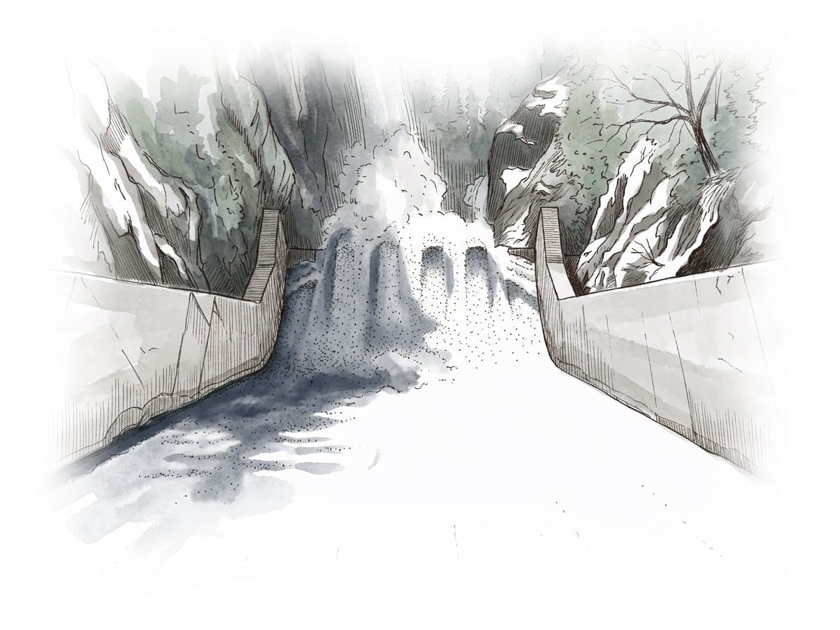 Ink and wash painting of Capilano River Regional Park.
