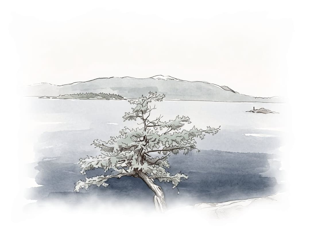 Ink and wash painting of Lighthouse Park.