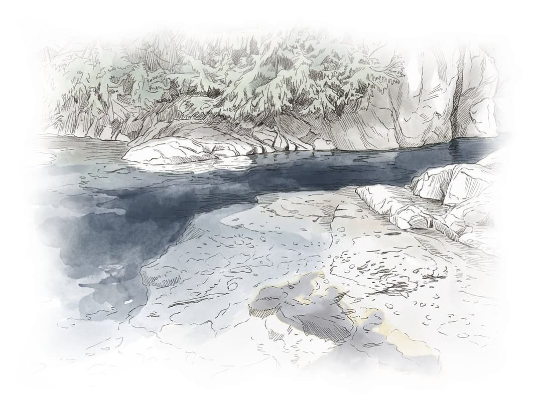 Ink and wash painting of Lynn Canyon and Lynn Valley.