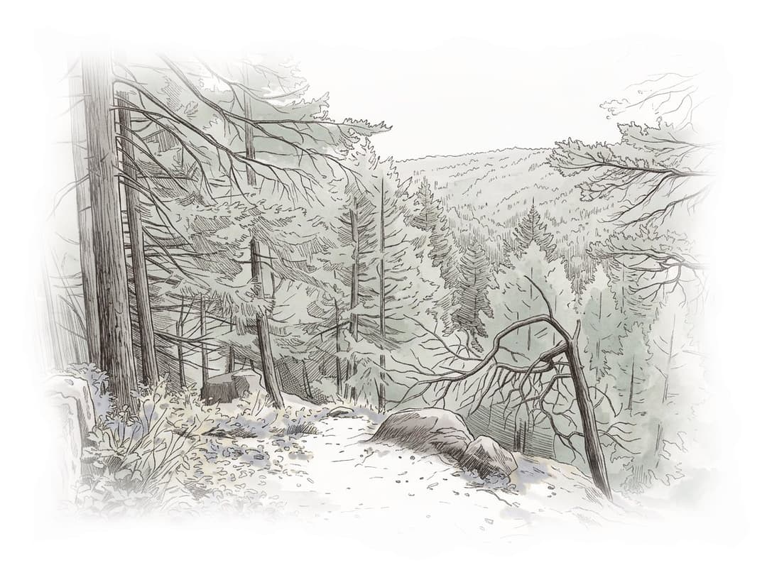 Ink and wash painting of Mount Gardner.