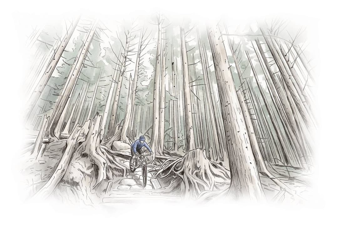 Ink and wash painting of Mount Seymour.