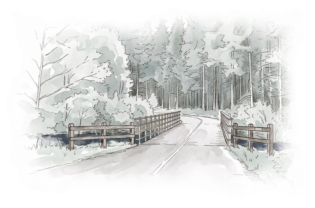 Ink and wash painting of Lower Seymour Conservation Reserve.