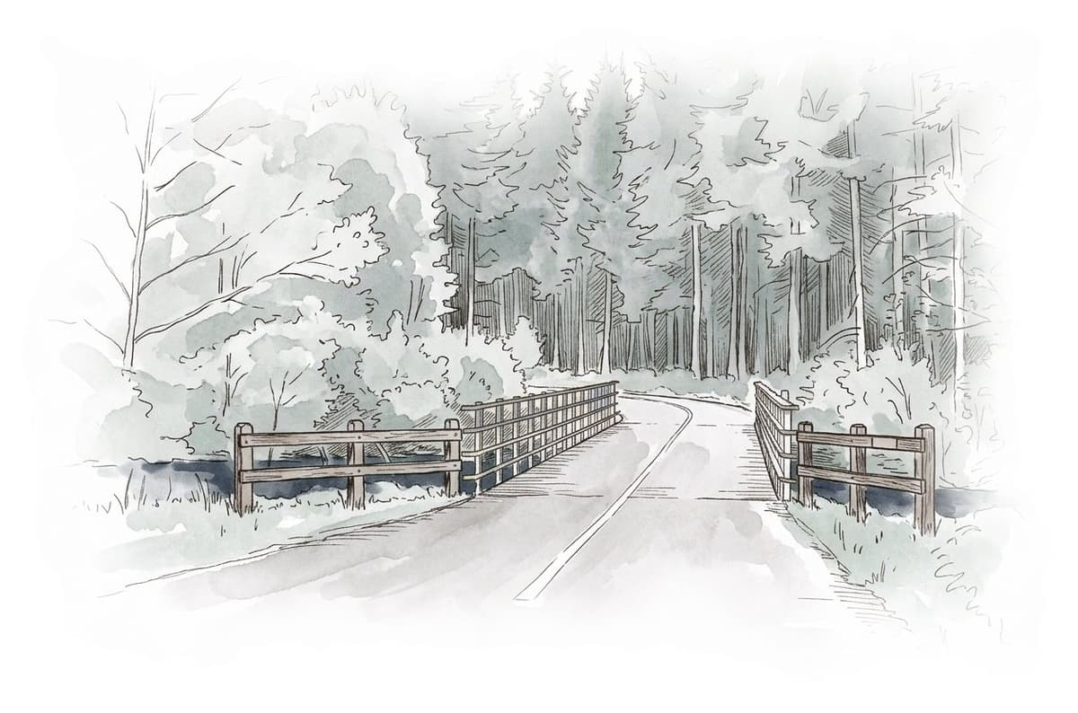 Ink and wash painting of Lower Seymour Conservation Reserve.