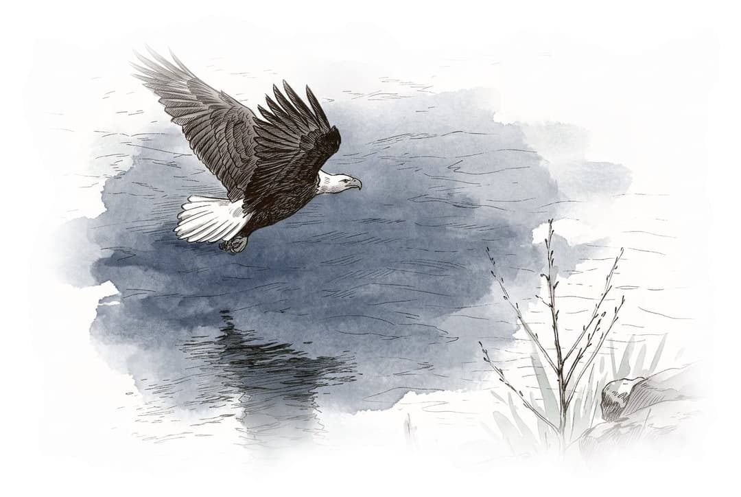 Ink and wash painting of Eagle Run dyke.