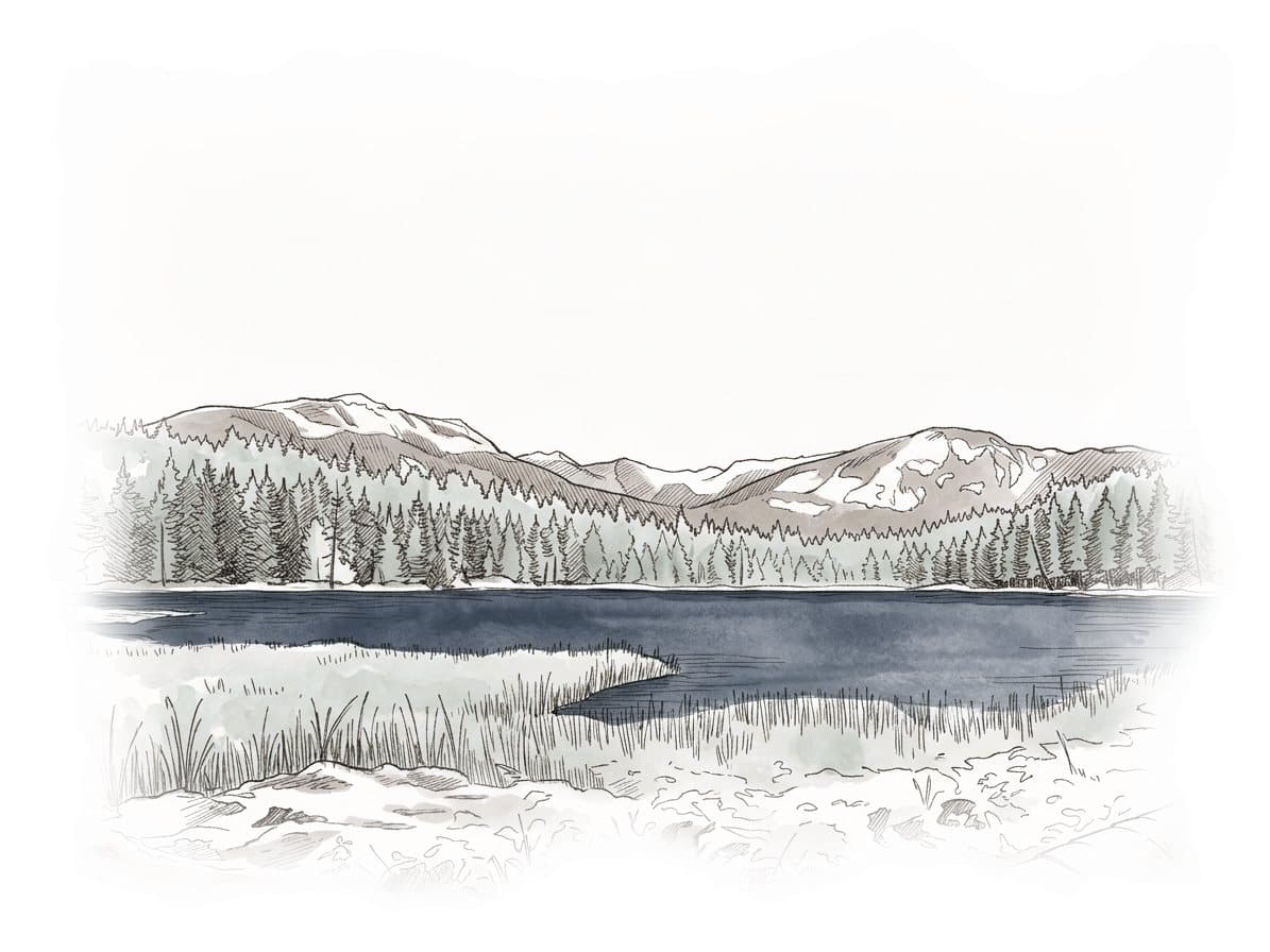 Ink and wash painting of Lost Lake Nordic Trails.