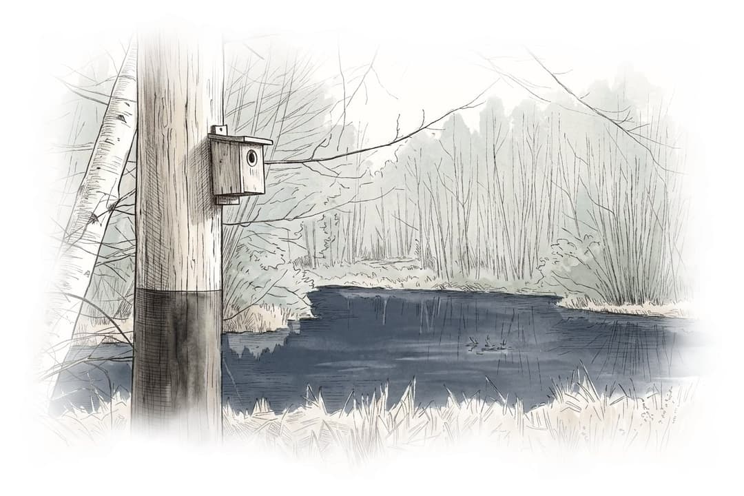 Ink and wash painting of Maplewood Flats Conservation Area.