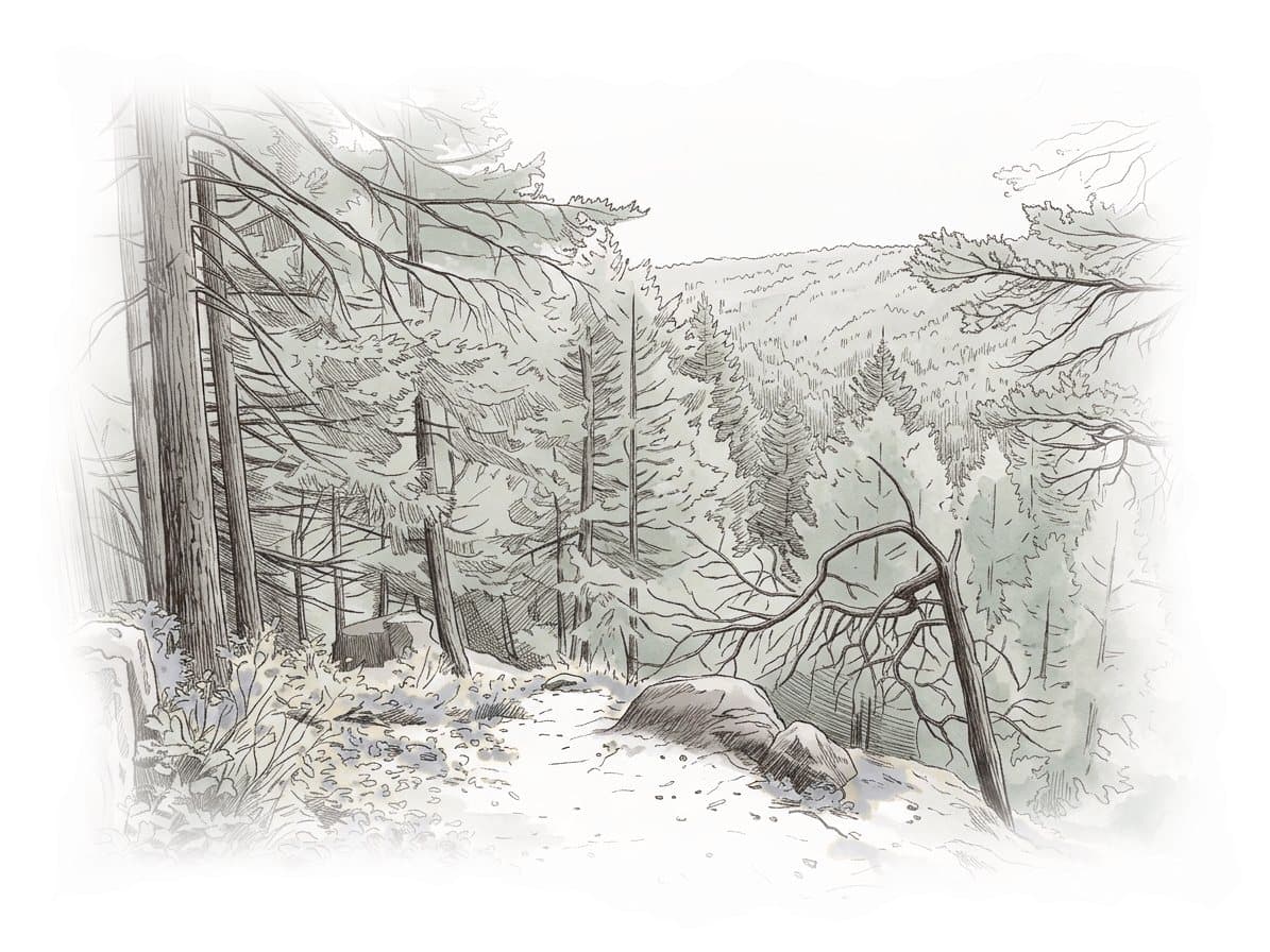 Ink and wash painting of Mount Gardner.
