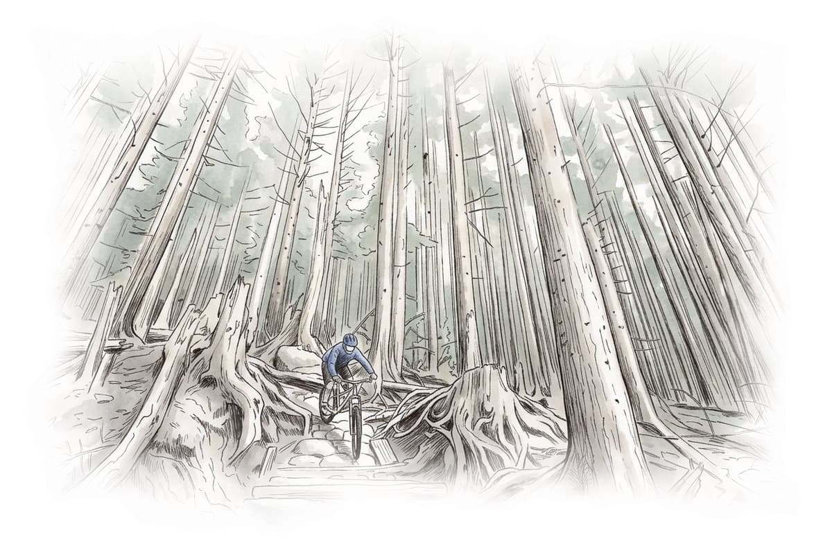 Ink and wash painting of Mount Seymour.