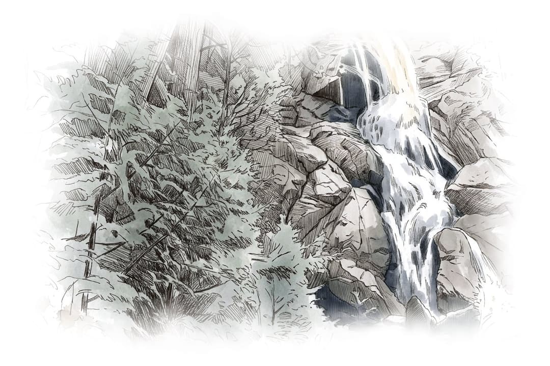 Ink and wash painting of Shannon Falls Provincial Park.