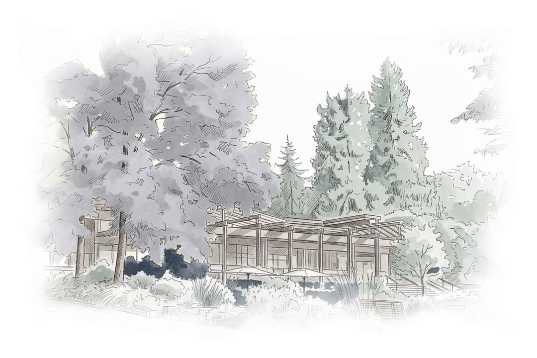 Ink and wash painting of VanDusen Botanical Garden.