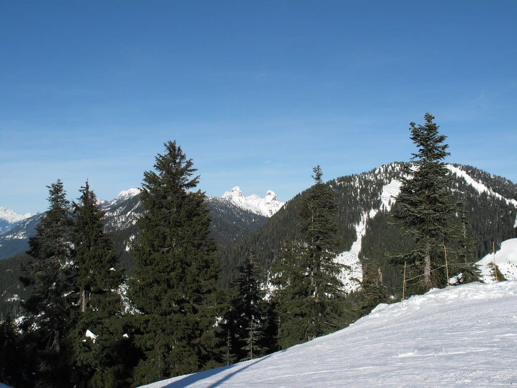 The snowy twin summits of the Lions show between firs in a winter view from Black Mountain at Cypress.