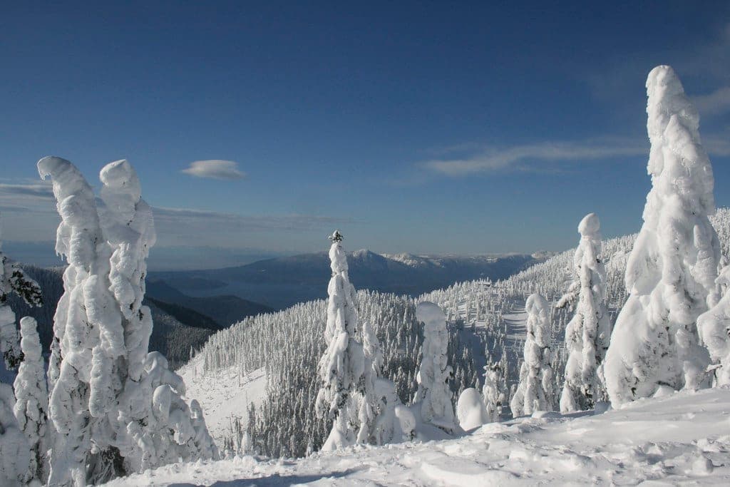 Rime-plastered firs stand on Hollyburn Peak above Howe Sound and the snowy Coast Mountains.