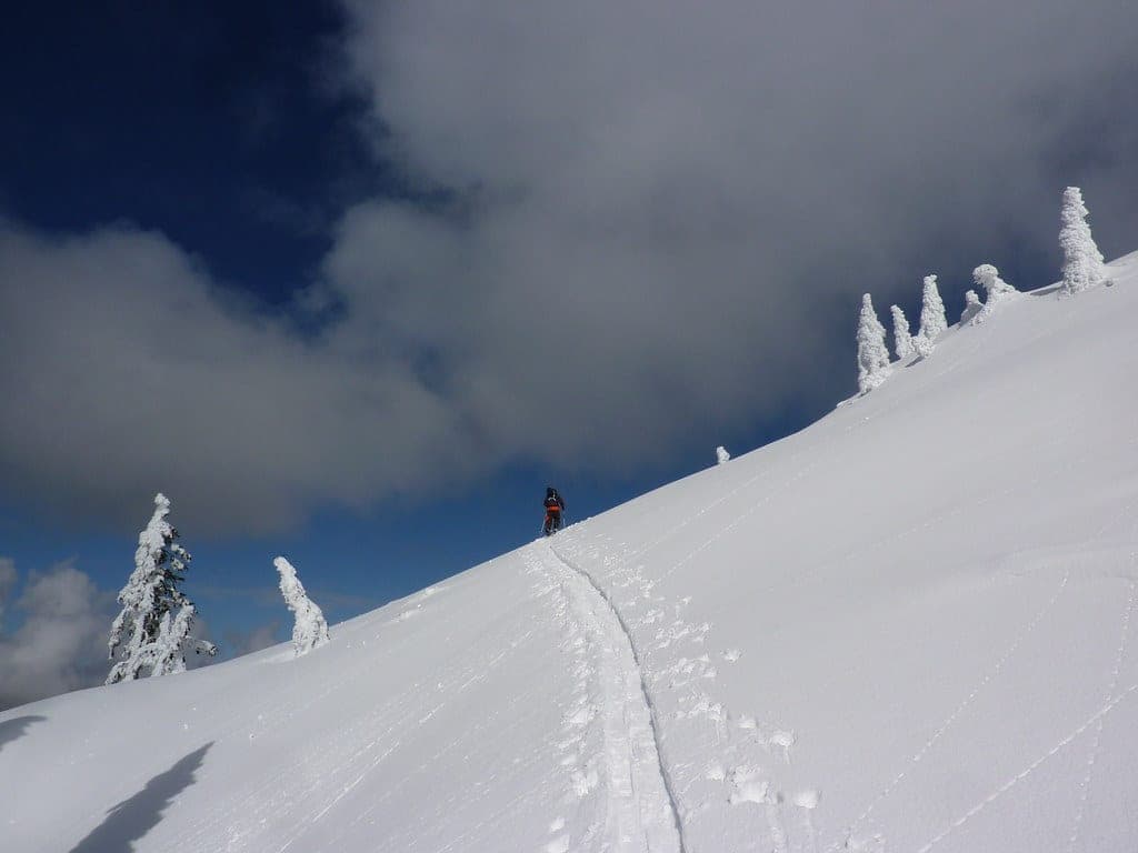 A ski tourer follows a skin track up a snowy Mount Seymour ridge past rime-coated trees.