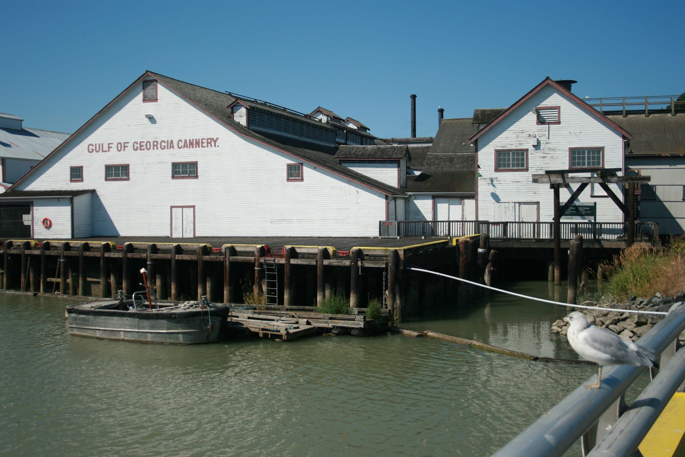 The white Gulf of Georgia Cannery stands on pilings over the Fraser River at Steveston.