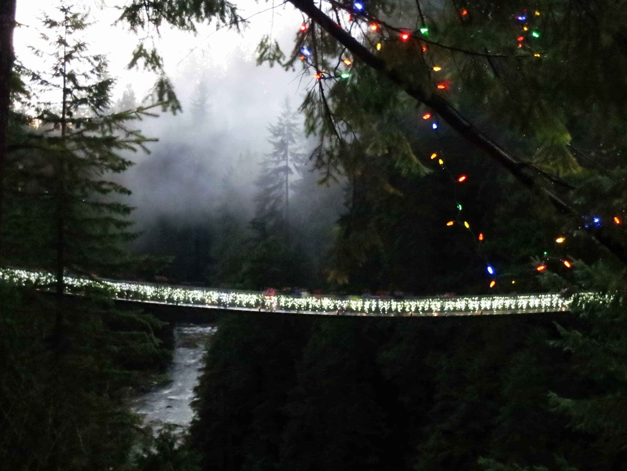 Lights trace the Capilano Suspension Bridge through mist over the canyon during Canyon Lights in December.