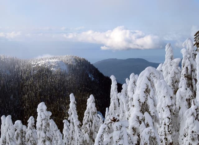 Snow-plastered firs on Cypress Mountain look out over the water toward the islands