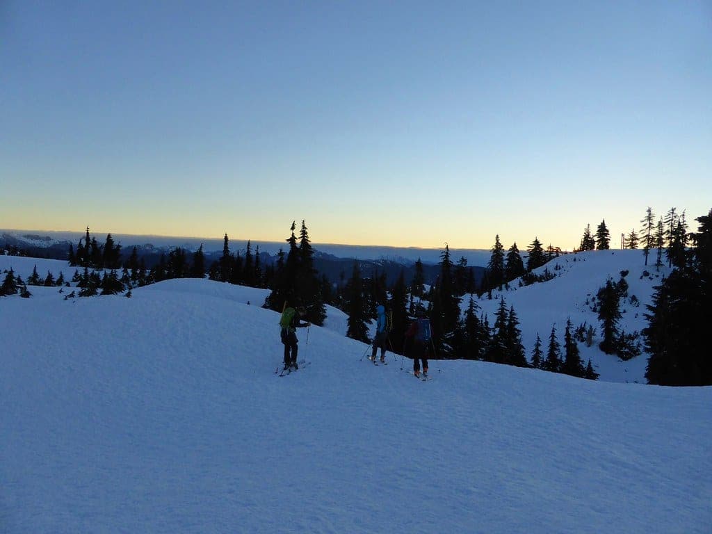 Skiers cross a snowy Mount Seymour slope in the blue light before sunrise