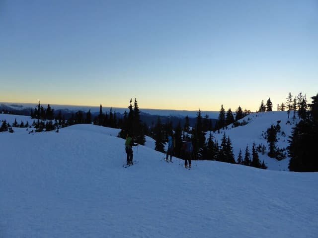 Skiers cross a snowy Mount Seymour slope in the blue light before sunrise