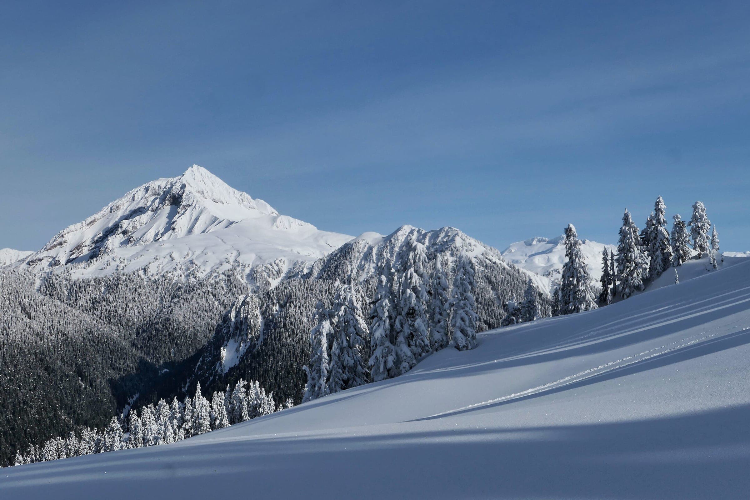 Mount Garibaldi rises white above snow-loaded firs near Elfin Lakes in February.