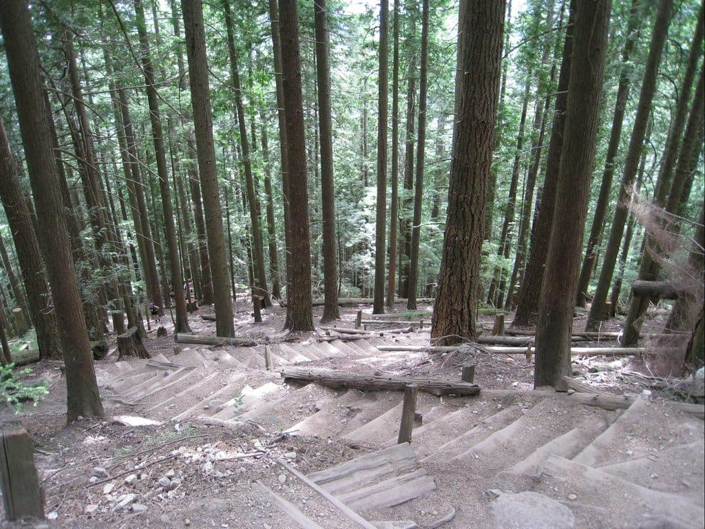 Timber stairs of the Grouse Grind switch back up through tall second-growth forest on Grouse Mountain.