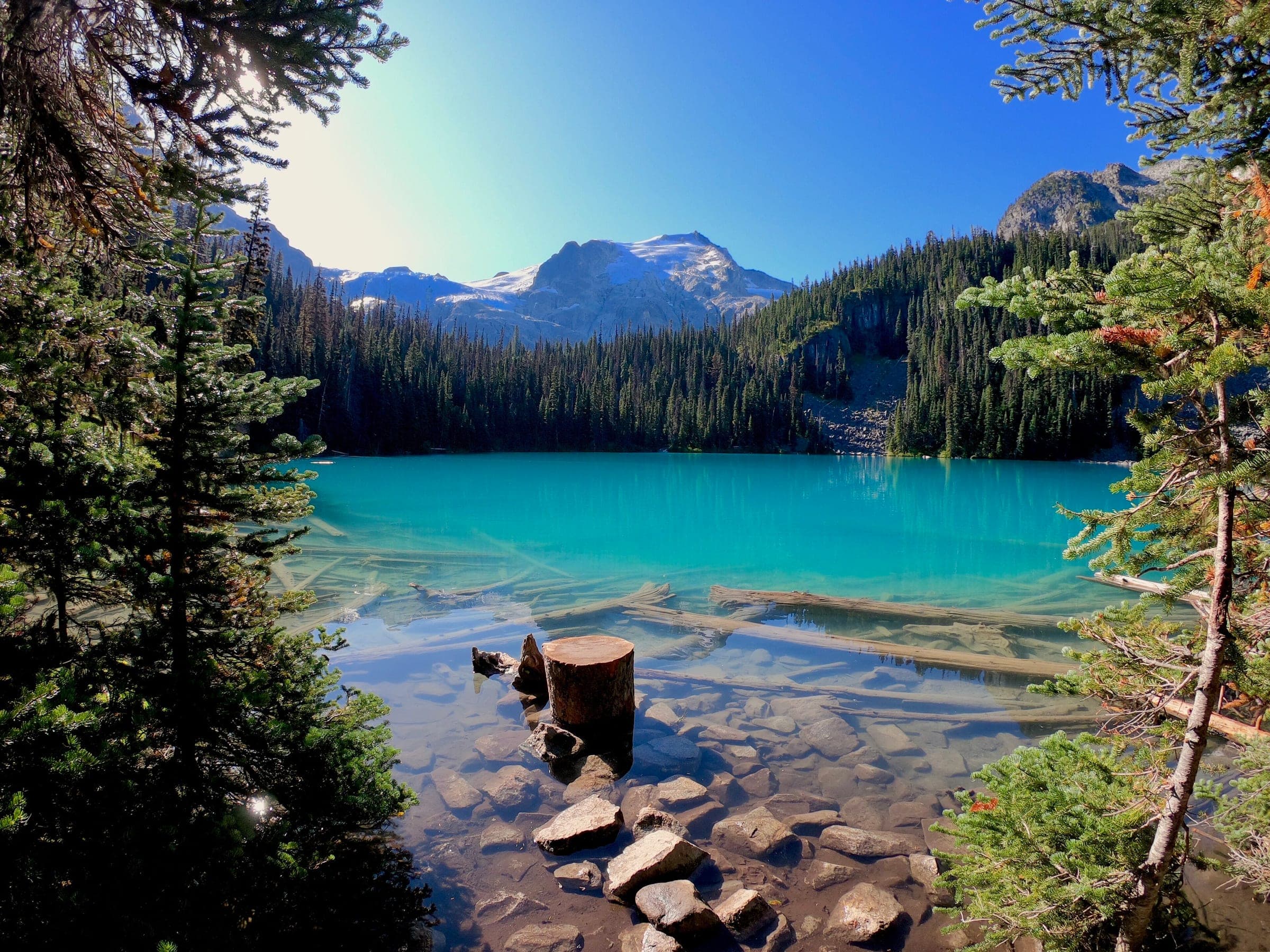 Clear turquoise water laps the rocky edge of Middle Joffre Lake below forested slopes.
