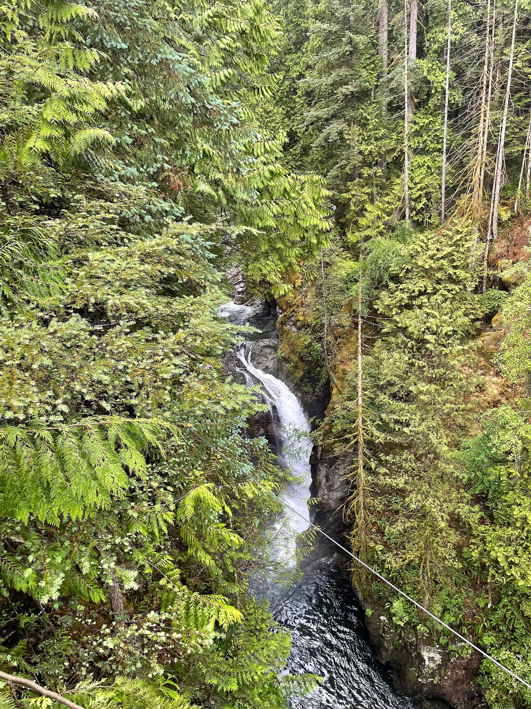A waterfall drops into the narrow green gorge of Lynn Canyon below the suspension bridge.