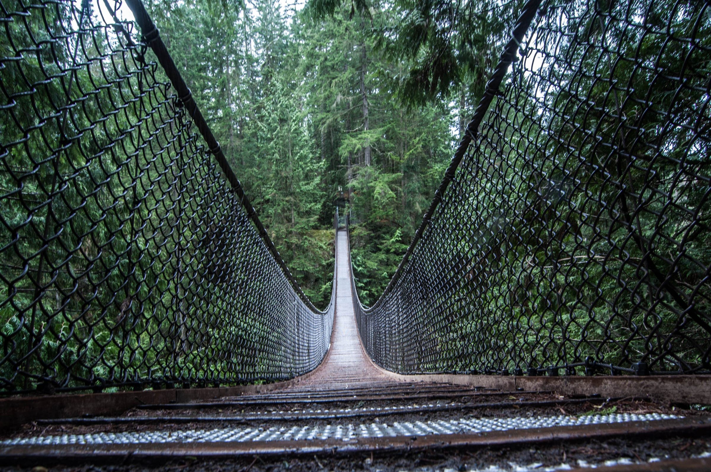 The Lynn Canyon Suspension Bridge runs straight across the canyon into dense cedar and fir forest.