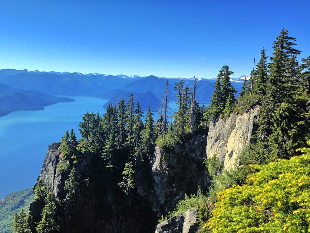 Granite cliffs and subalpine fir drop toward Howe Sound from the top of St. Marks Summit.