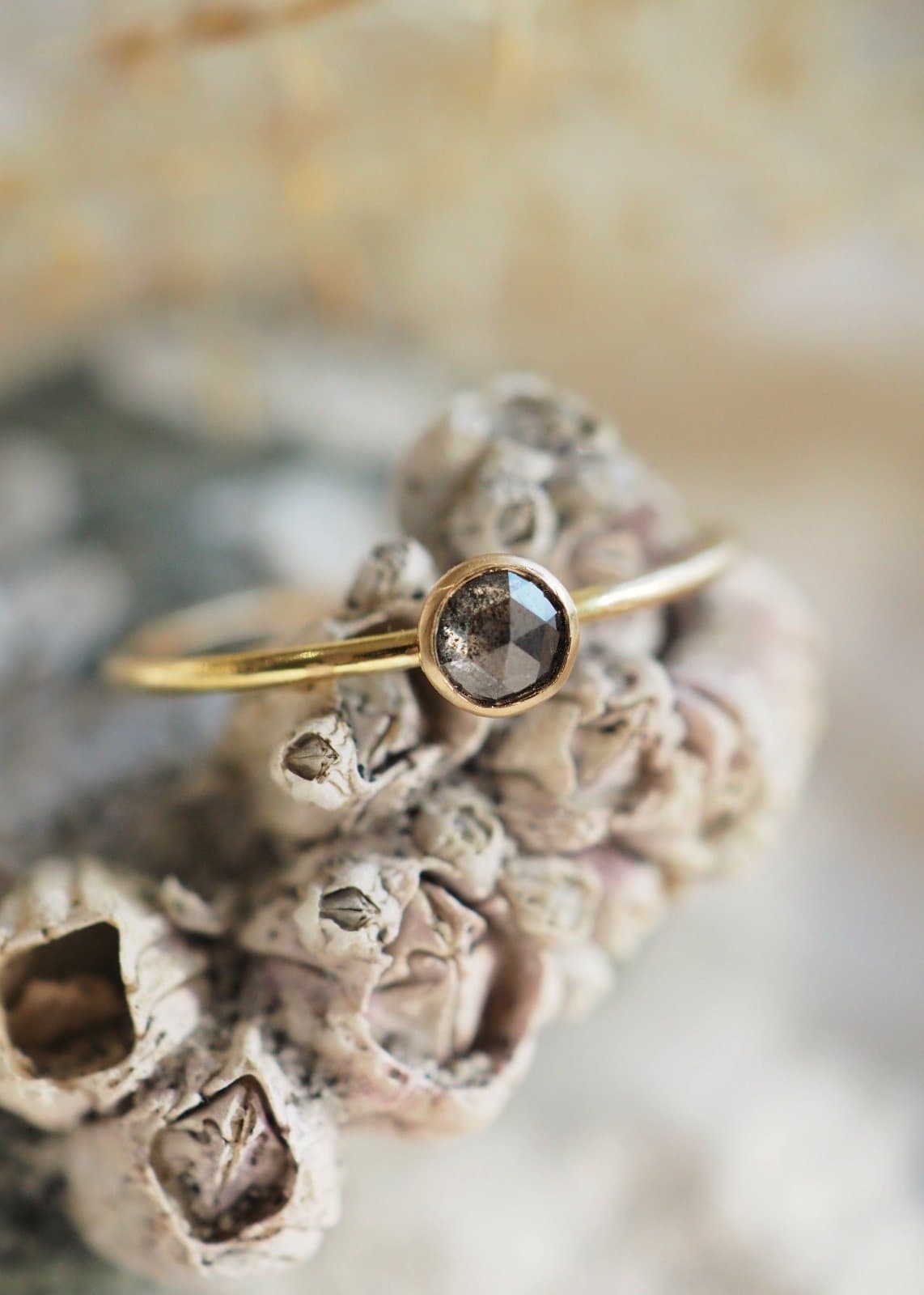 A LanaBetty gold ring set with a dark faceted stone, resting on a cluster of barnacles.