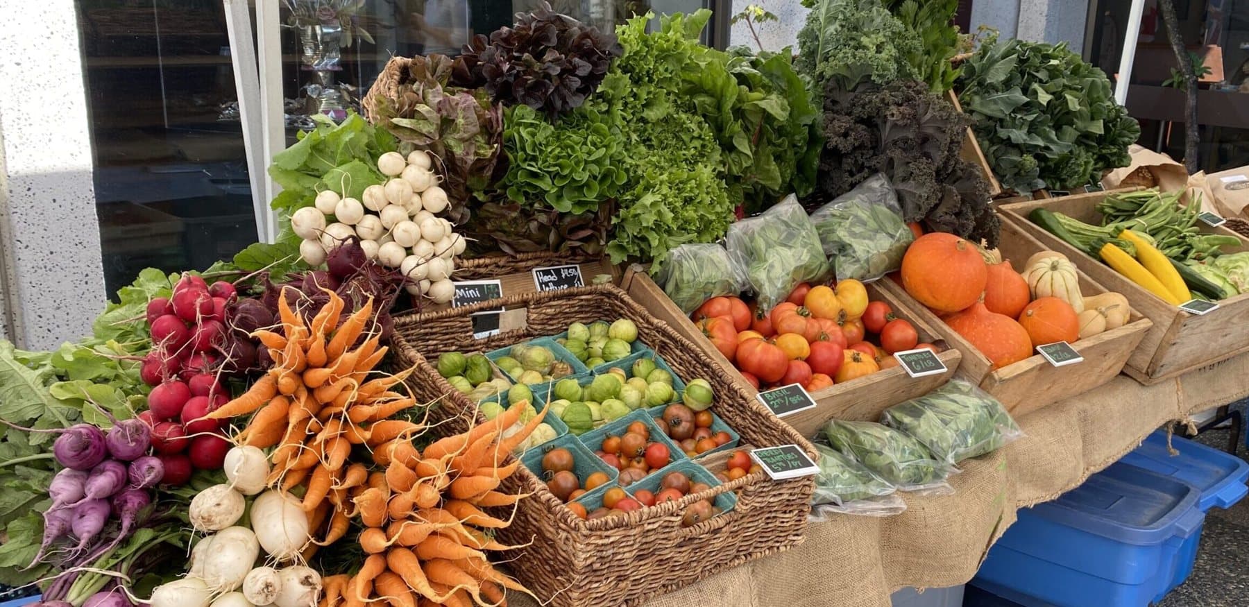 Baskets of carrots, radishes, squash and greens on a burlap table at the Kitsilano Winter Farmers Market.
