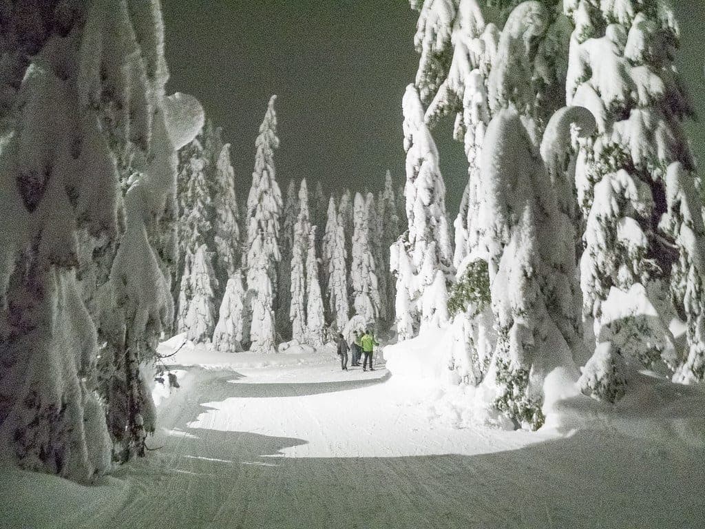 Skiers stop on a lit Hollyburn cross-country trail at night between firs buried in snow.