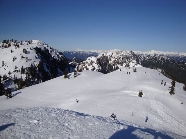 Snow-covered ridges and open slopes stretch along the summit area of Mount Seymour in February.