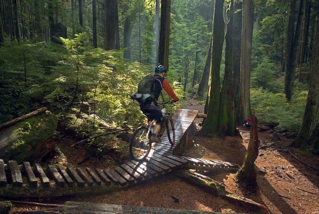 A mountain biker rides a wooden bridge through North Shore forest in North Vancouver.