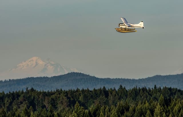 A Gulf Island Seaplanes aircraft flies over forest with Mount Baker behind it.