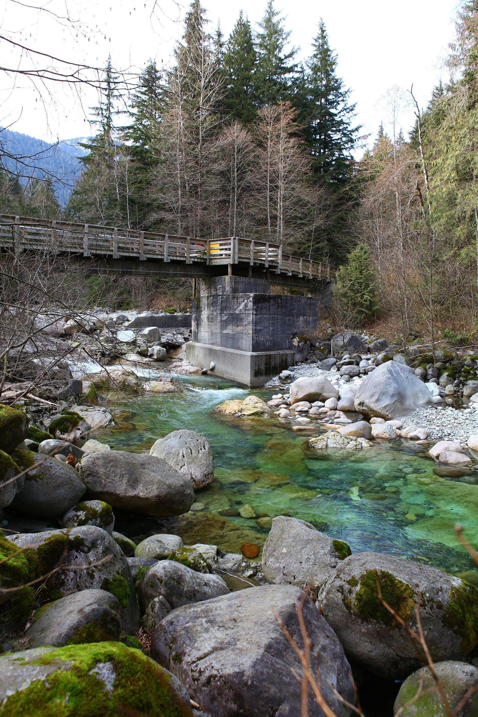 A footbridge crosses Lynn Creek above clear green pools and mossy boulders in Lynn Headwaters Regional Park.