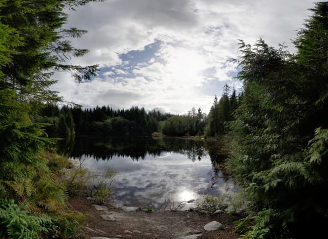 Clouds and evergreens mirror in the still water of Rice Lake in the Lower Seymour Conservation Reserve.
