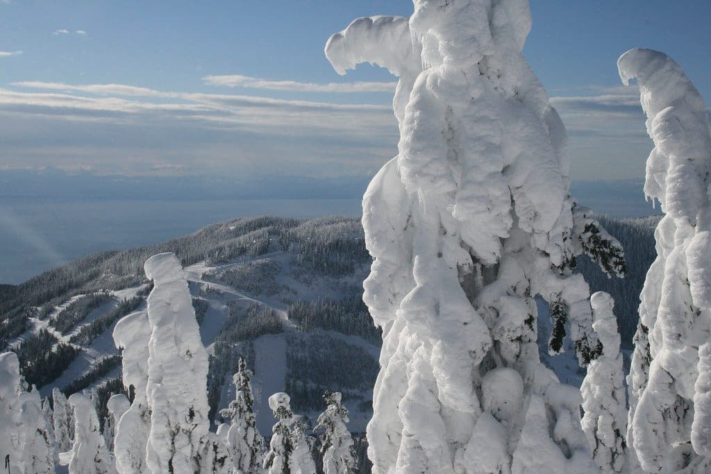 Rime-crusted trees on Cypress Mountain stand above ski runs cut into the forested slope below.