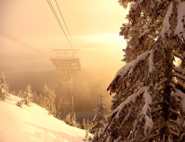 A Grouse Mountain Skyride tower rises out of golden winter fog beside a fir heavy with snow.
