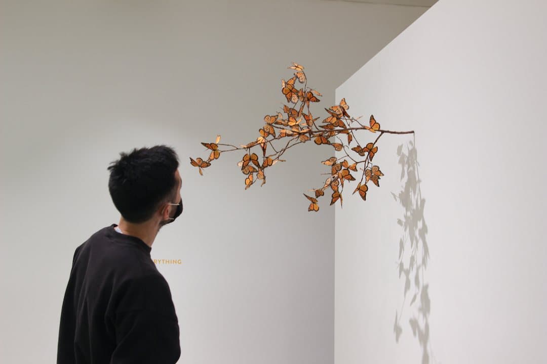 A visitor looks at a leafy branch sculpture mounted on a wall at the Seymour Art Gallery.