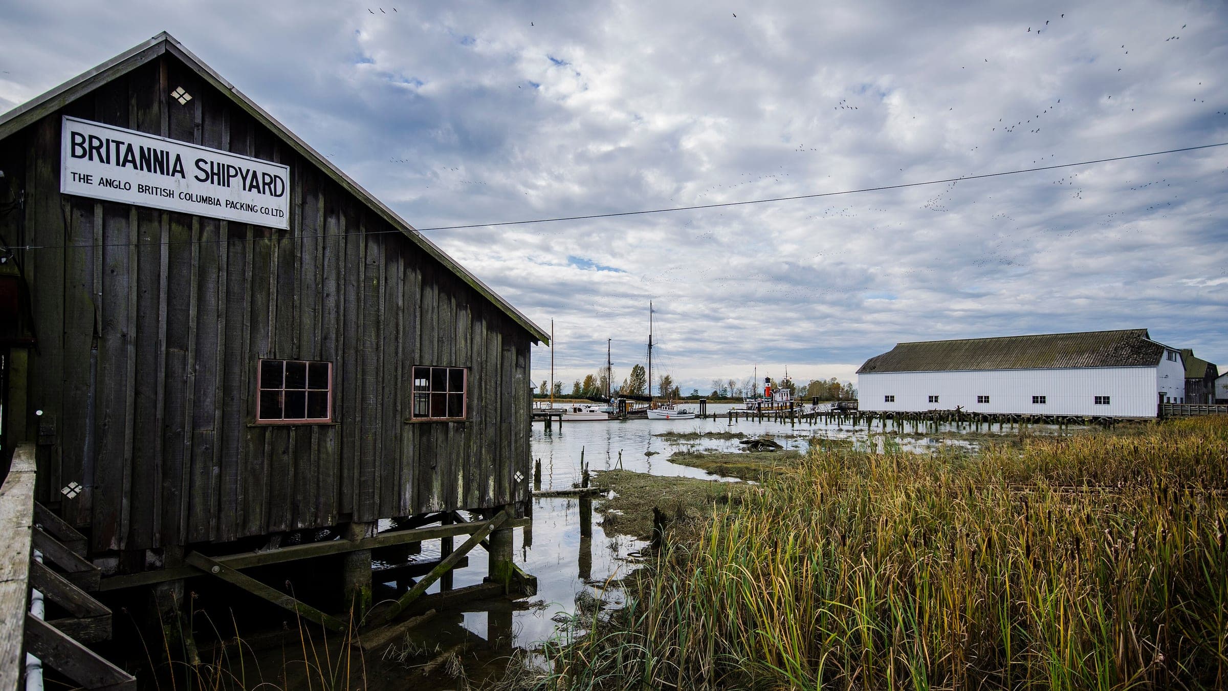 The weathered Britannia Shipyard boathouse stands on pilings over the marsh grass of the Fraser River in Steveston.