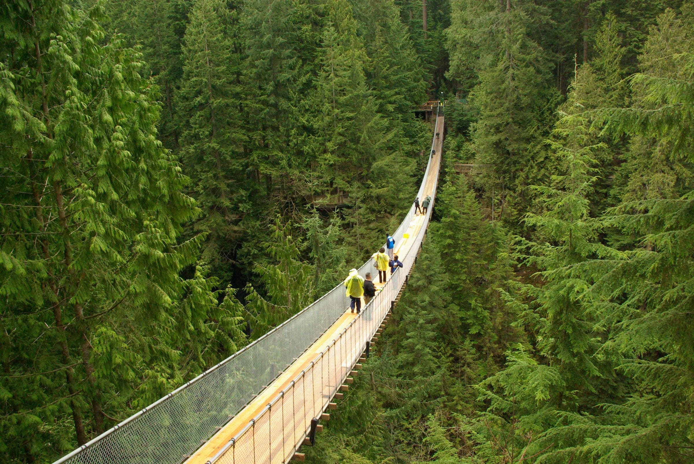 Capilano Suspension Bridge spans the canyon between walls of Douglas fir and cedar.