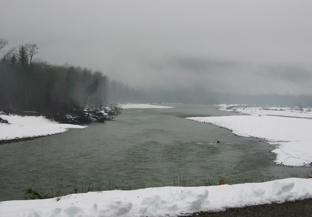 Snow lines the banks of the Squamish River as mist hangs over Brackendale in winter.