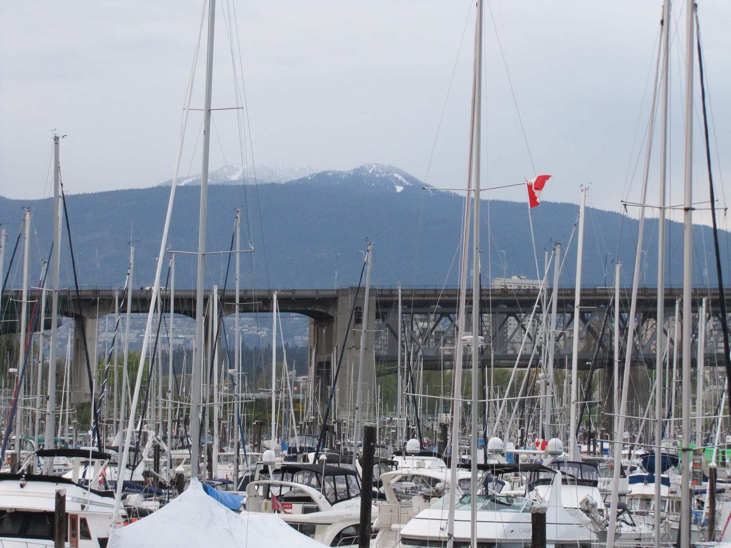 Masts crowd the Granville Island marina below snow on the North Shore mountains.