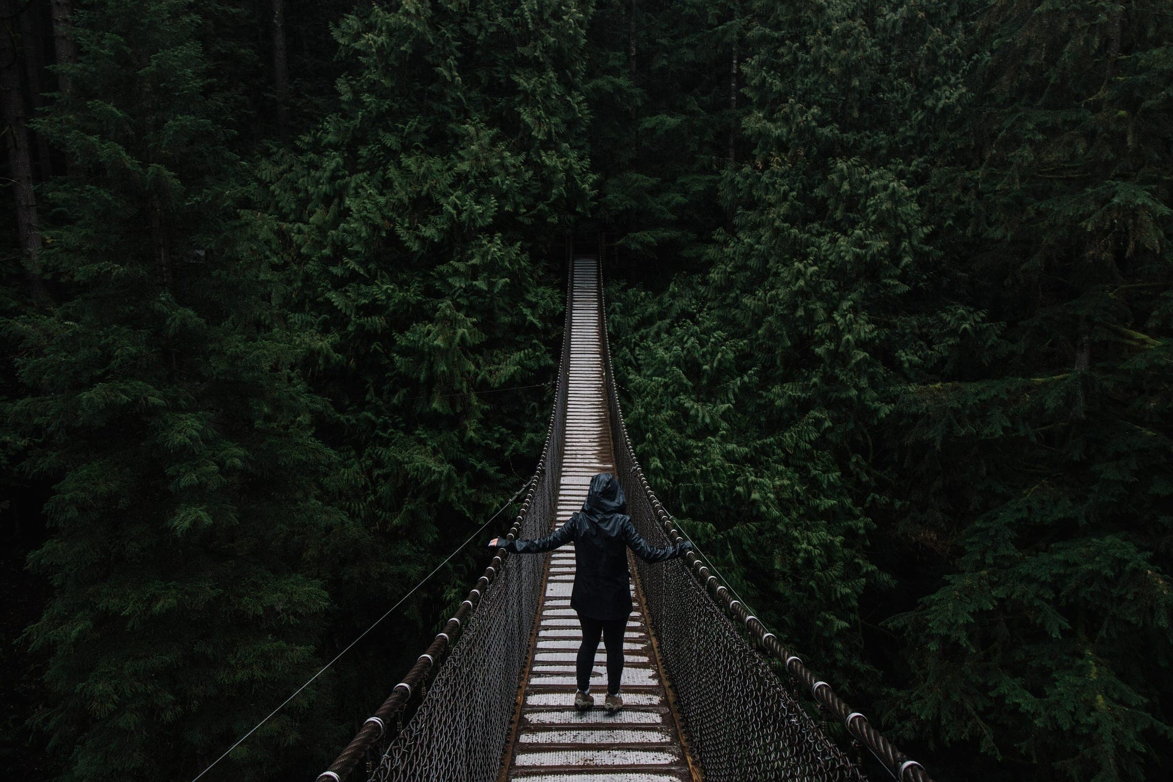 A walker crosses the Lynn Canyon Suspension Bridge above a dark wall of cedar and fir.