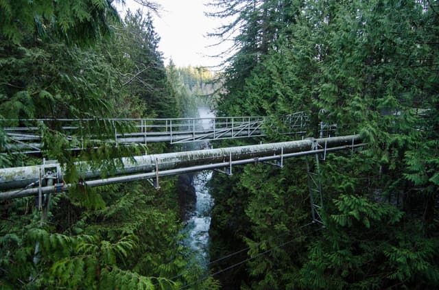 Pipeline Bridge crosses Lynn Creek through the cedars of Lynn Canyon Park on a winter afternoon.