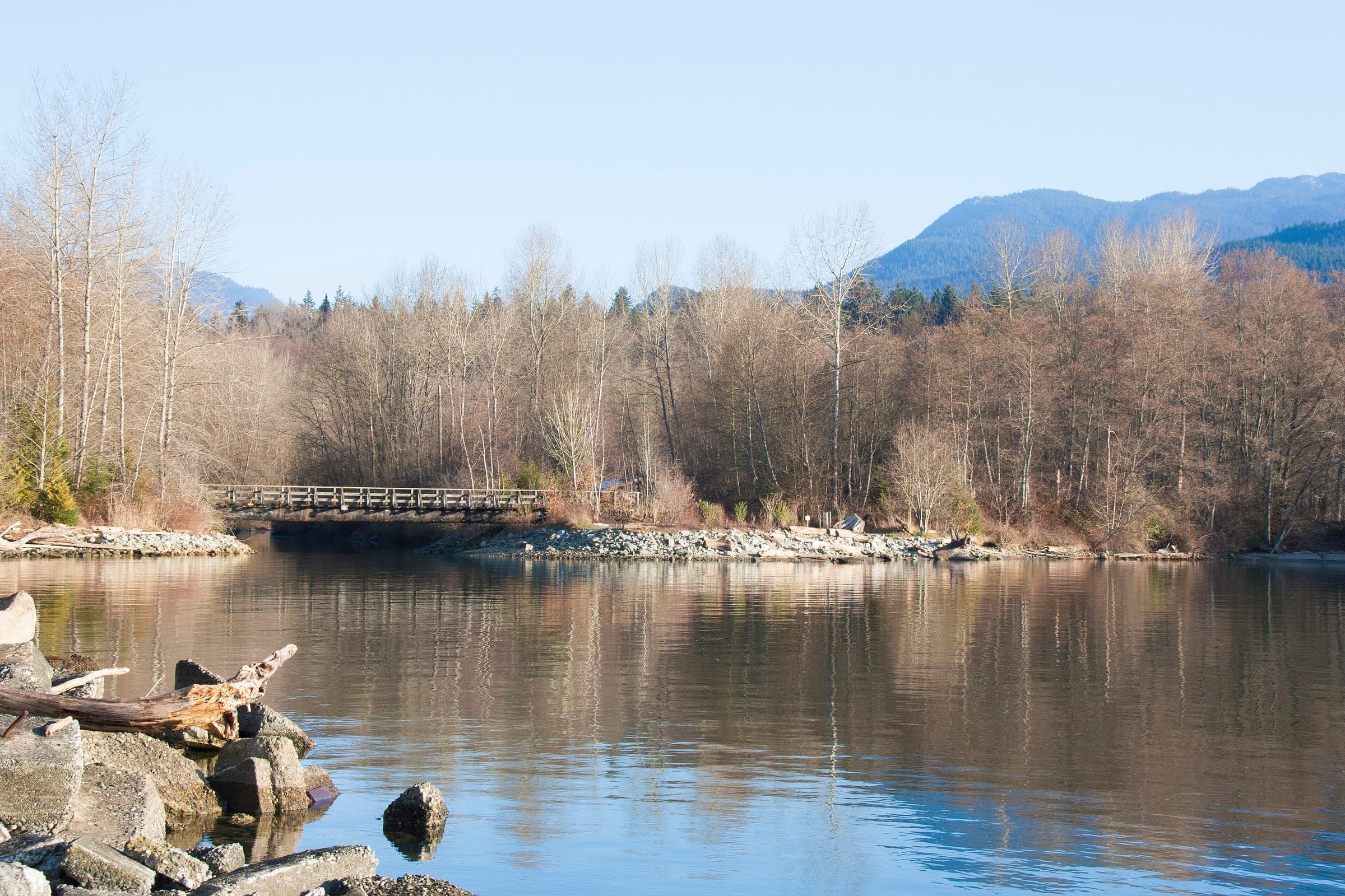 Bare alders ring a still pond at Maplewood Flats with the North Shore mountains behind.