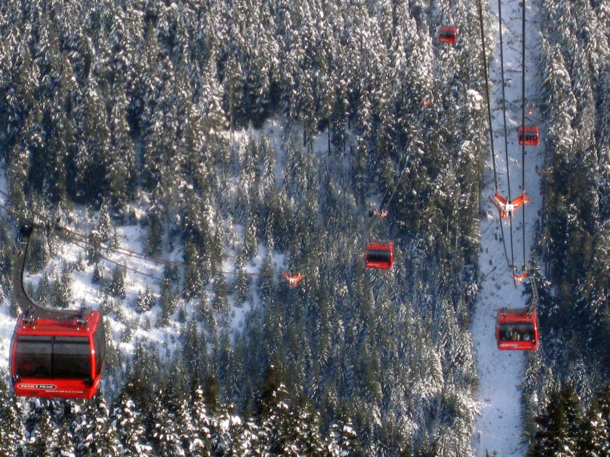 Red Peak 2 Peak Gondola cabins string across the snow-loaded forest of the Fitzsimmons valley.