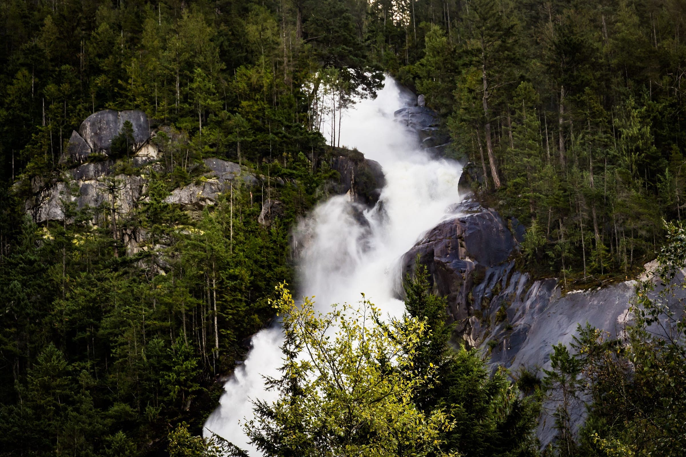 The upper cascades of Shannon Falls twist through granite and fir high above the trail.