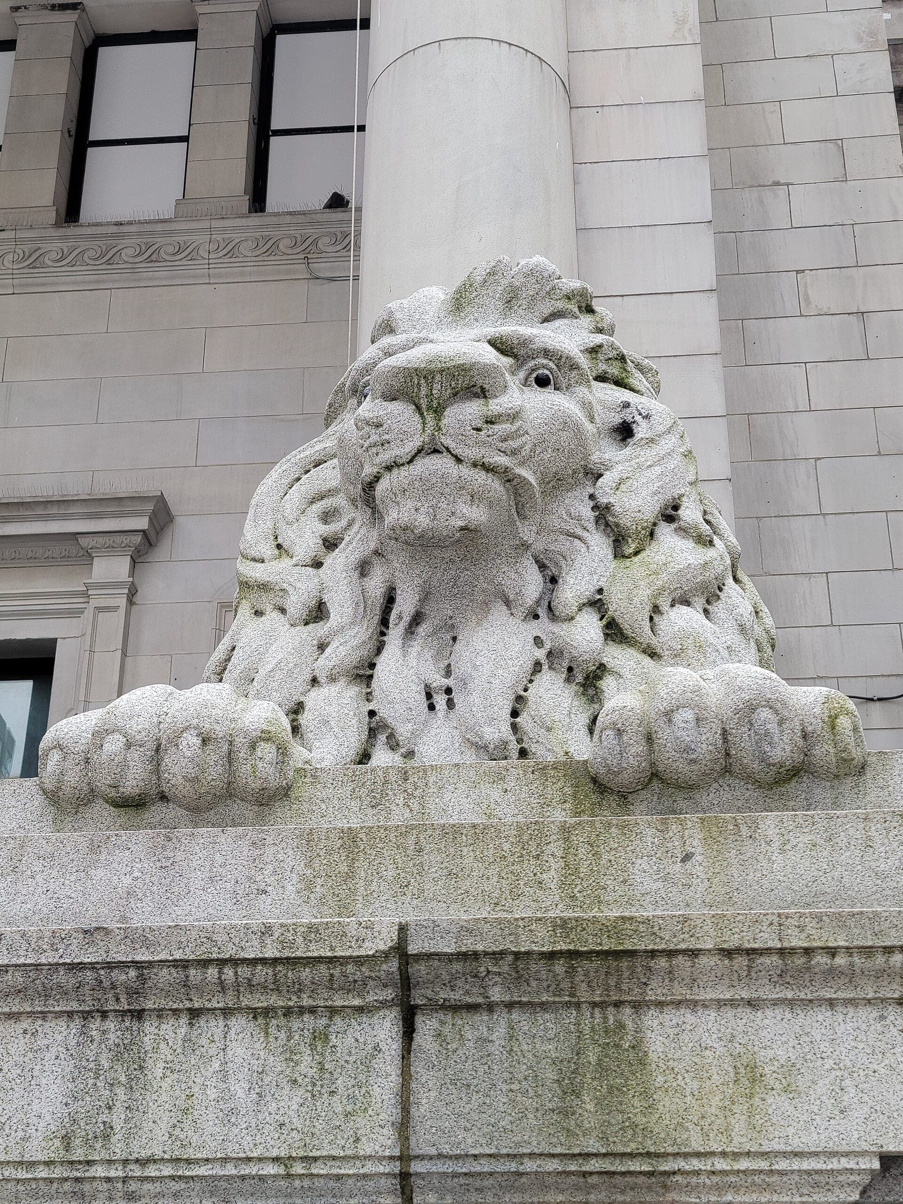 A weathered stone lion guards the Georgia Street steps of the Vancouver Art Gallery.