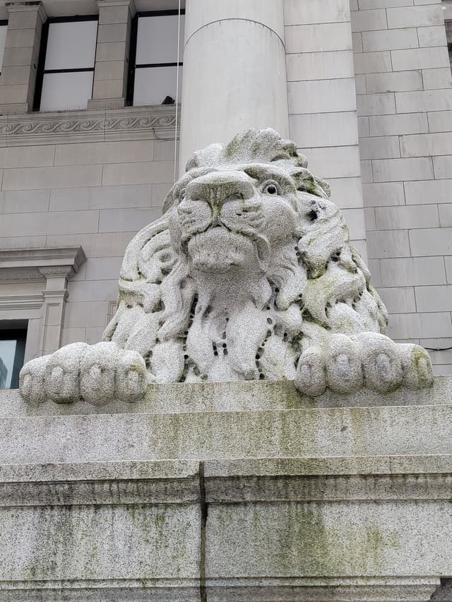 A weathered stone lion guards the Georgia Street steps of the Vancouver Art Gallery.